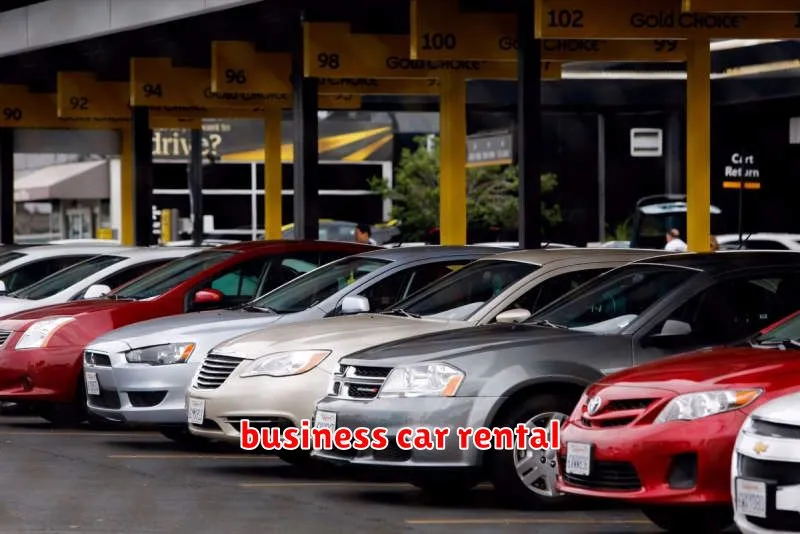 business car rental