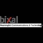 Bixal company logo