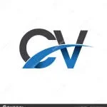 CV BALIVIP STYLING company logo