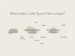 Little Spoon Farm company logo