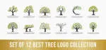 Treecommodate company logo