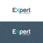 Xperteam Consultant company logo