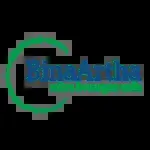 Bina Artha Group Lending company icon
