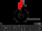 BARAMULTI GROUP company icon